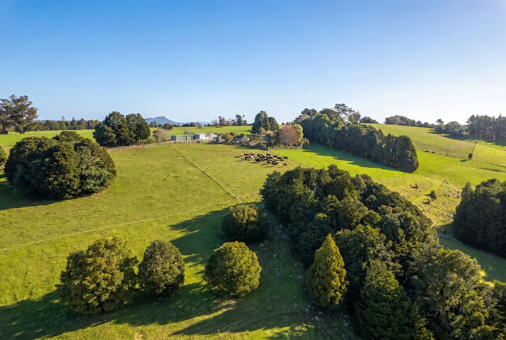 Photos of 43 Waiariki Road