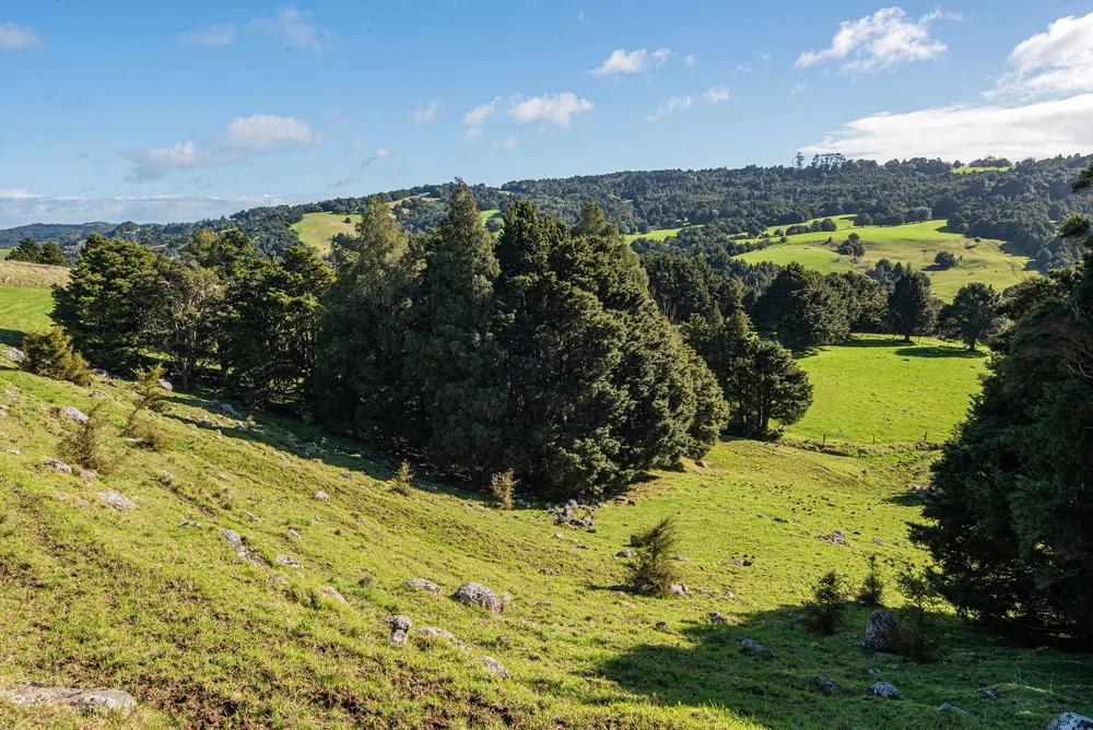 Photos of 43 Waiariki Road