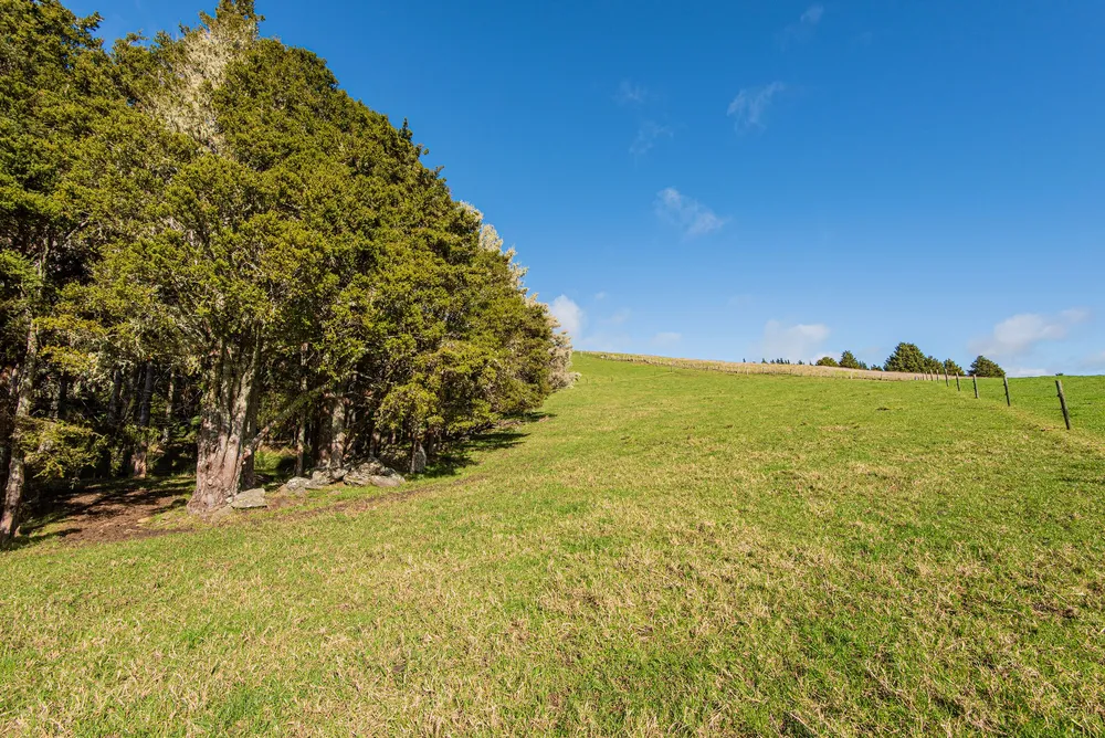 Photos of 43 Waiariki Road