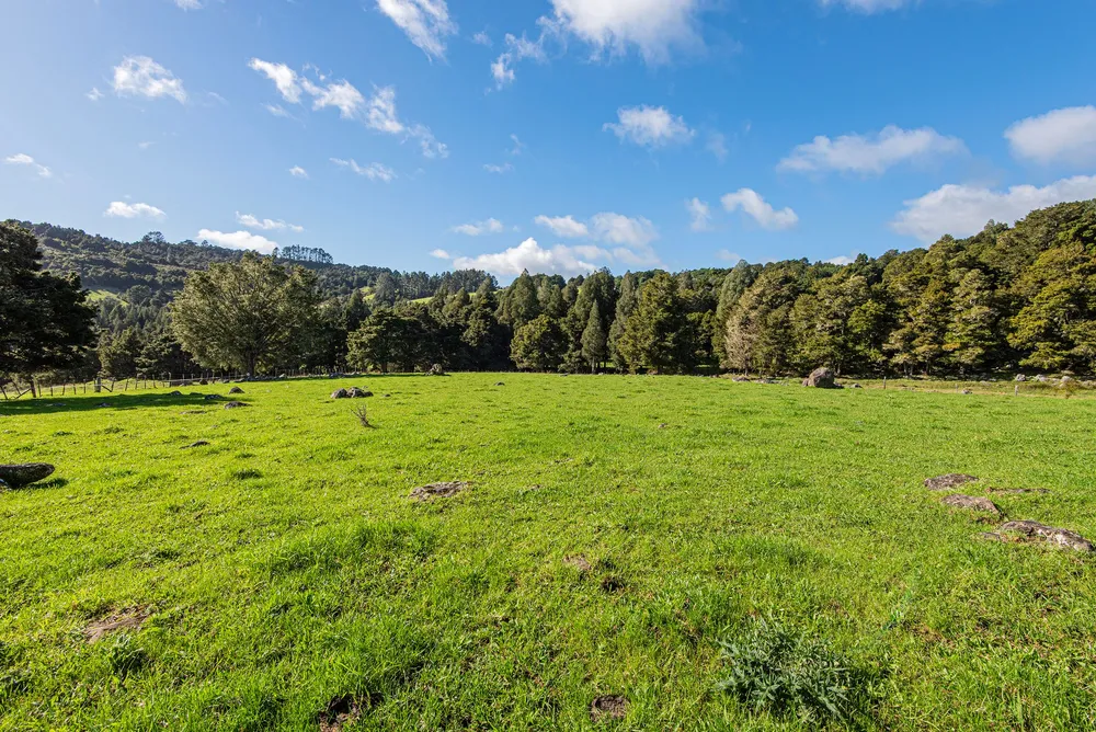 Photos of 43 Waiariki Road