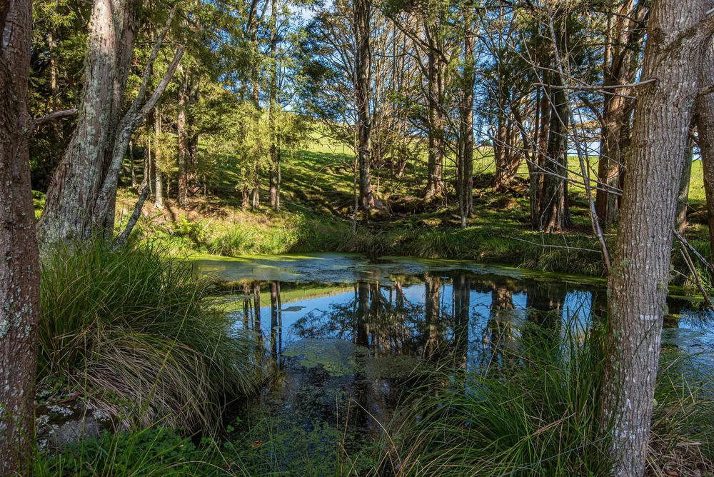 Photos of 43 Waiariki Road