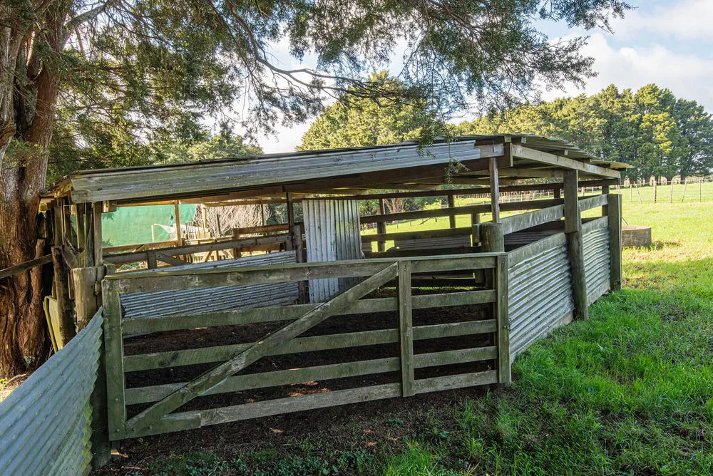 Photos of 43 Waiariki Road