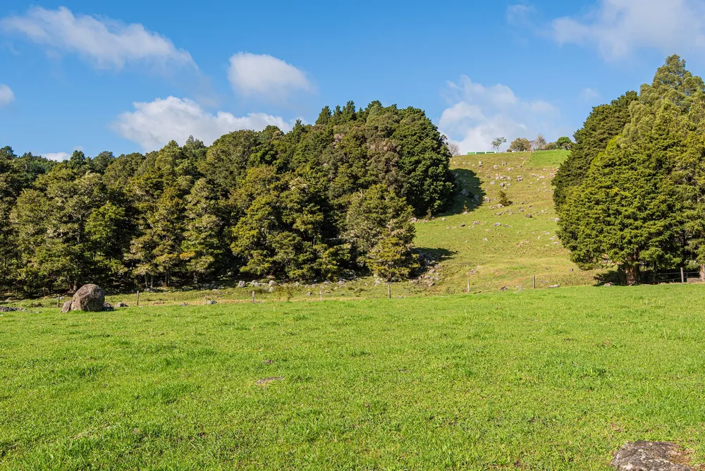 Photos of 43 Waiariki Road