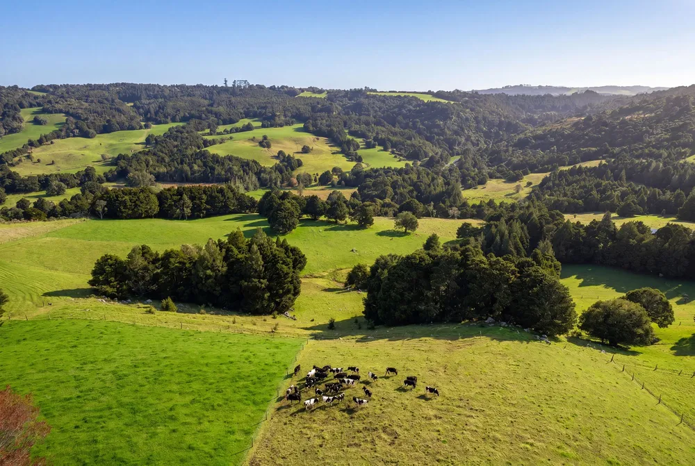 Photos of 43 Waiariki Road