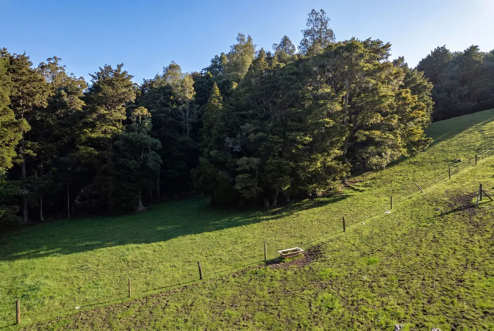 Photos of 43 Waiariki Road
