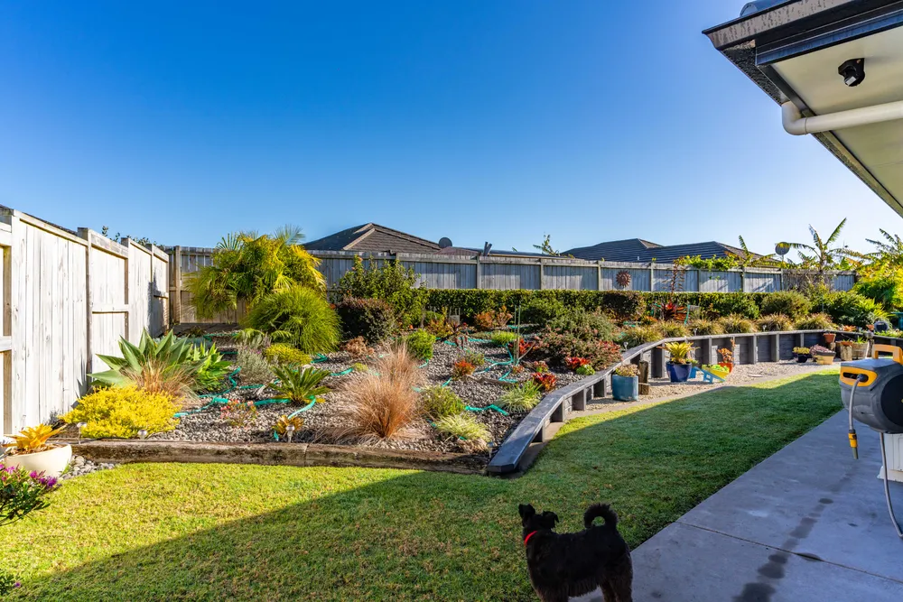Photos of 17 Olney Court