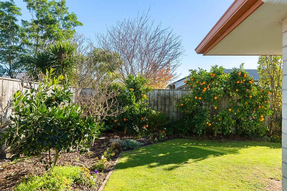 Photos of 13 Roger Street