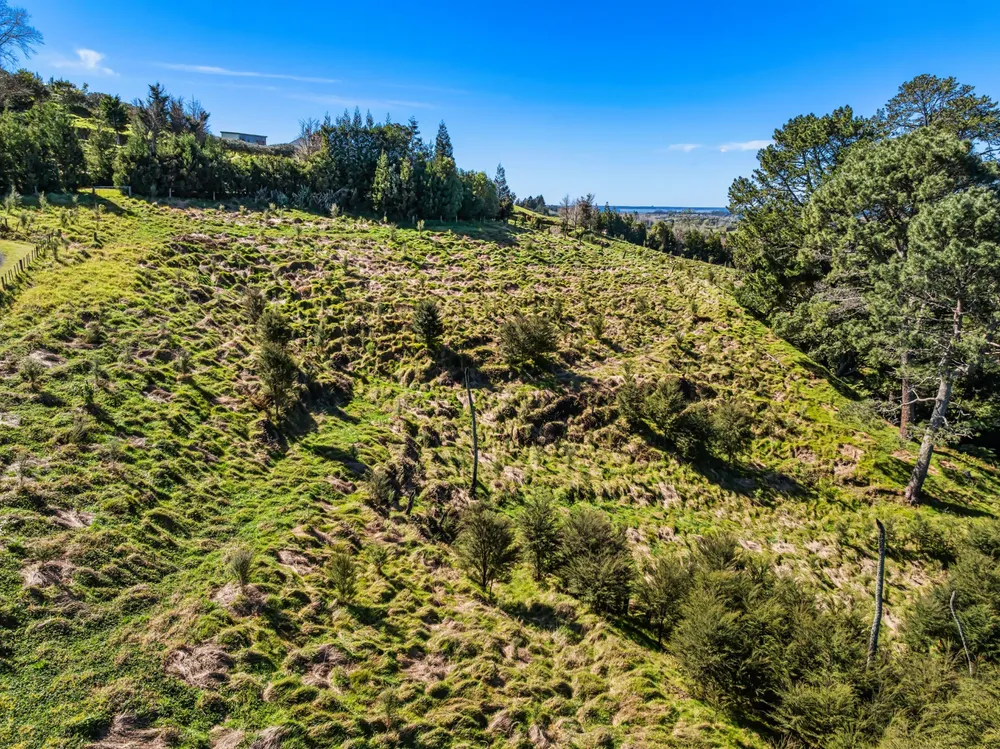 Photos of 193 Lindemann Road