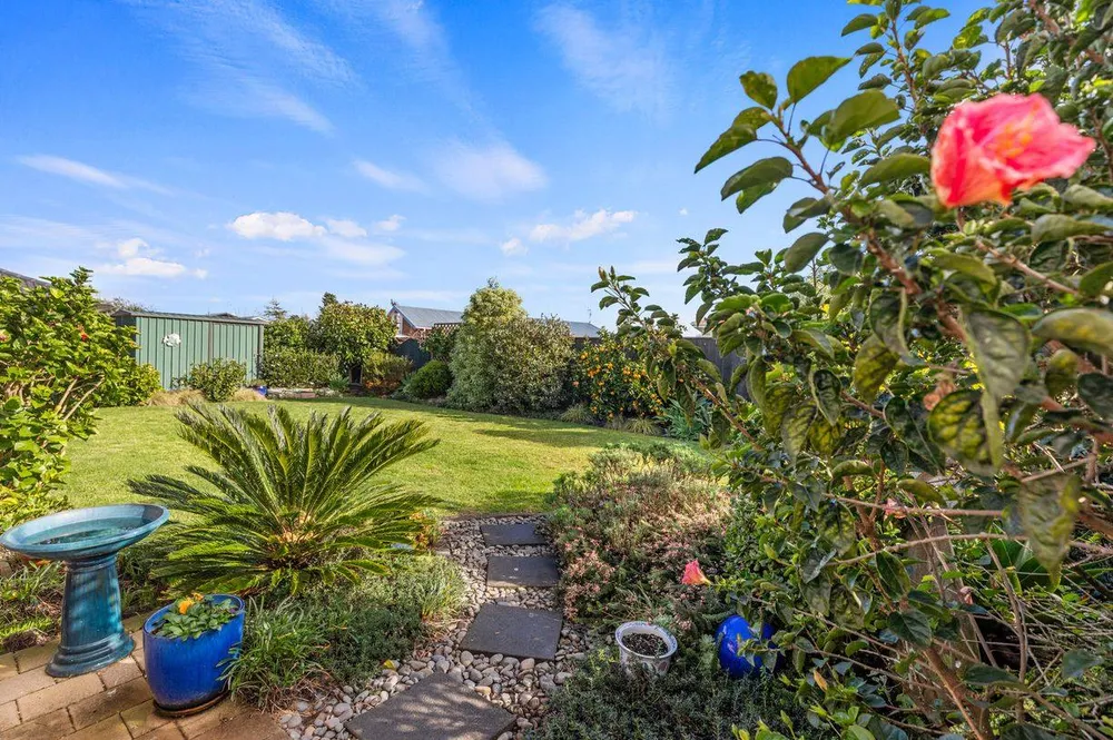 Photos of 40 Fahey Avenue