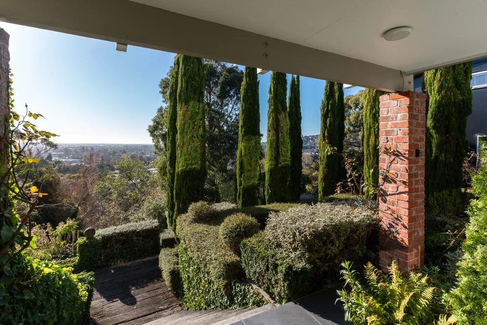 Photos of 8 Paulus Terrace