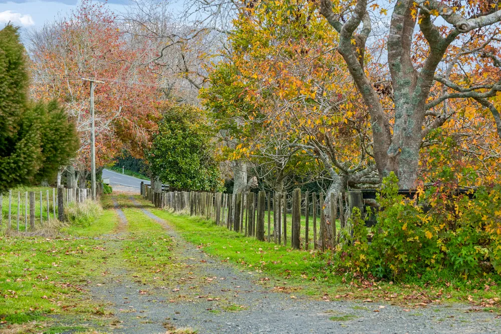 Photos of 1984 Hunua Road