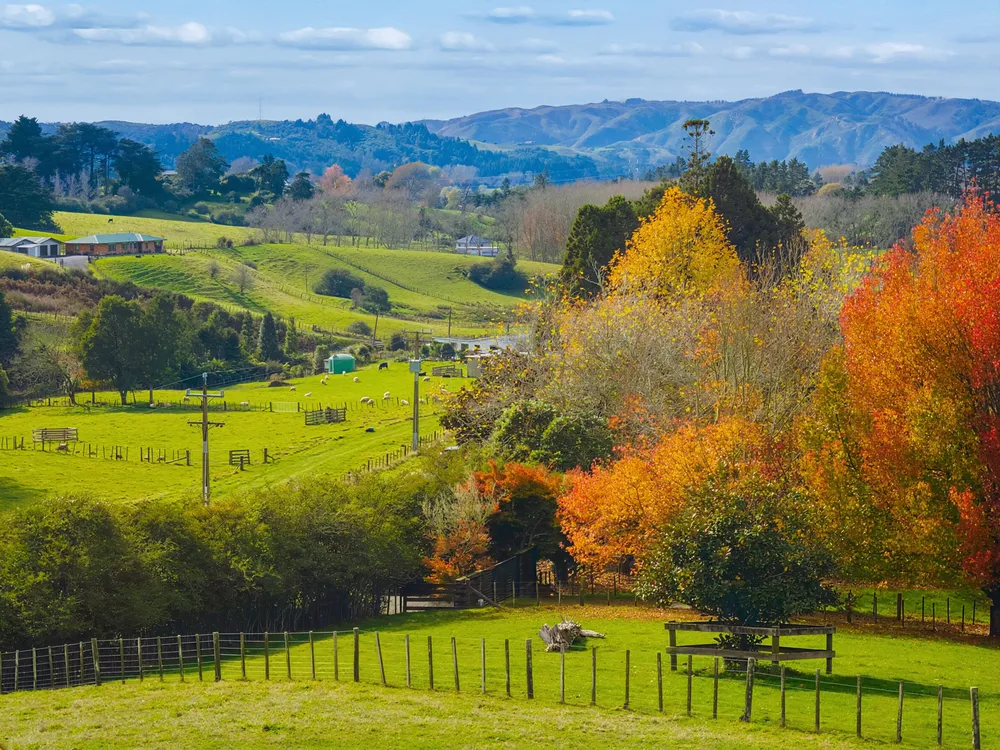 Photos of 1984 Hunua Road