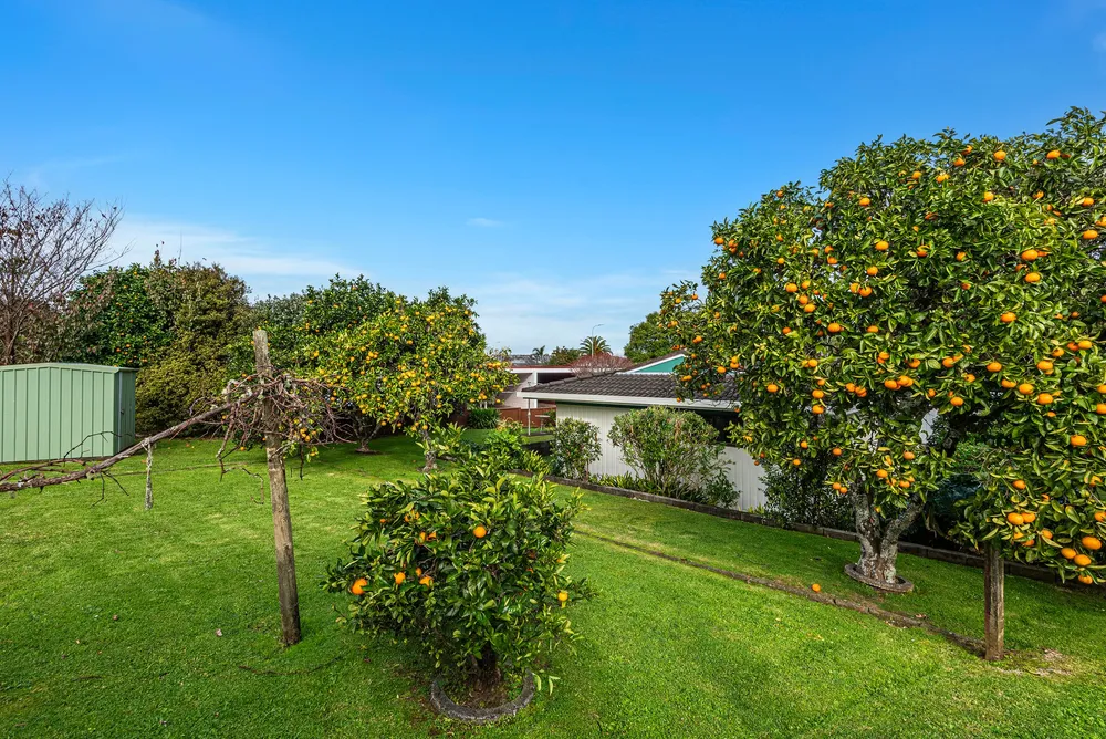 Photos of 80 Fairway Drive