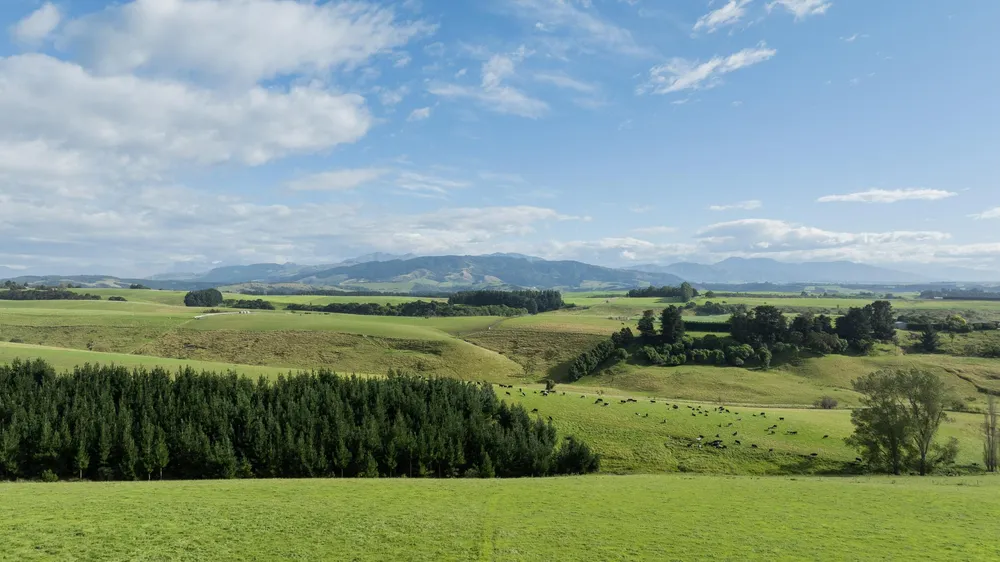 Photos of 574 Spur Hut Road