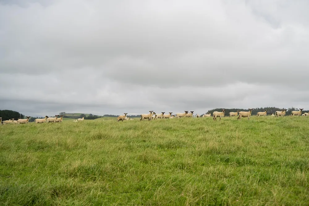 Photos of 574 Spur Hut Road