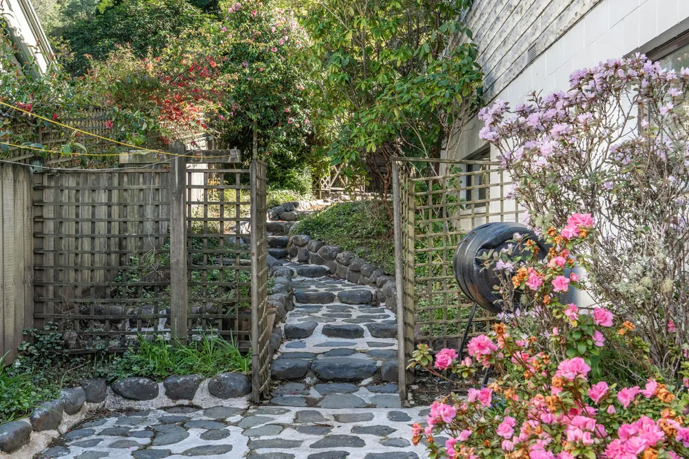 Photos of 361 York Place