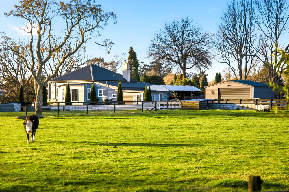 Photos of 17c Lissette Road