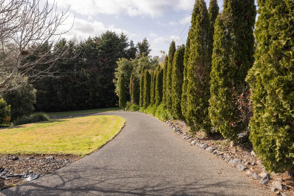 Photos of 48 Westview Place
