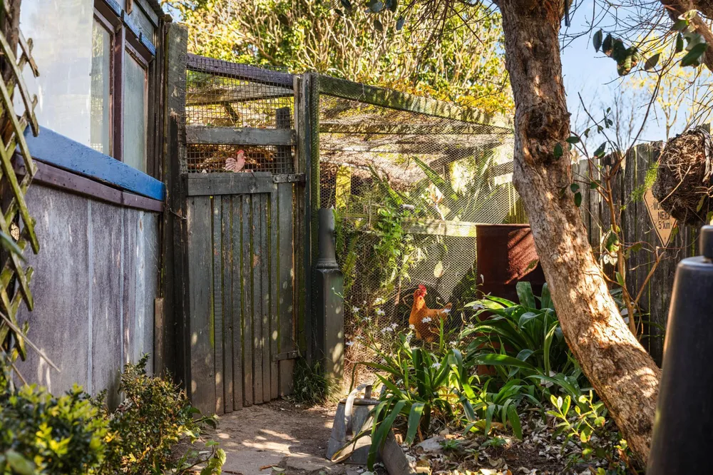 Photos of 7 Murphy Road