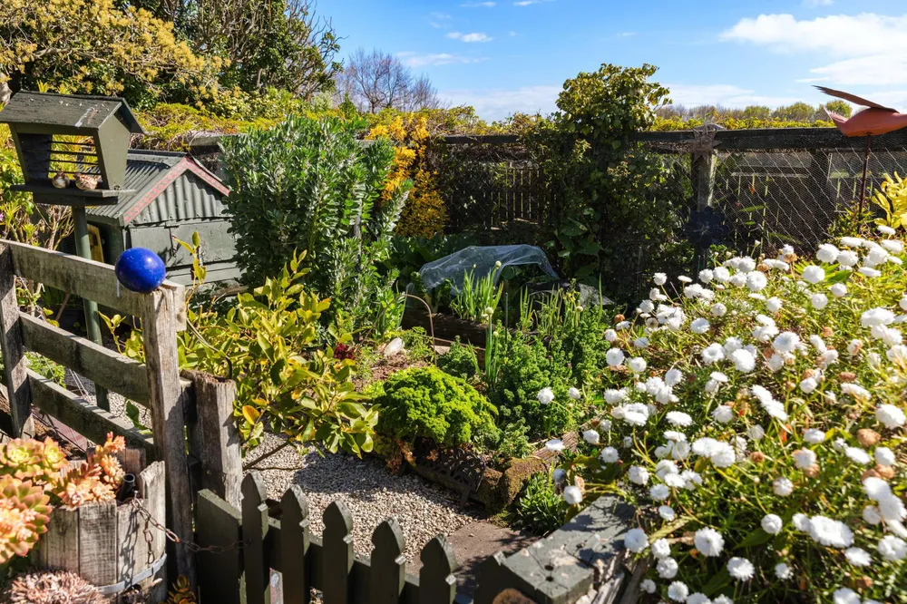 Photos of 7 Murphy Road
