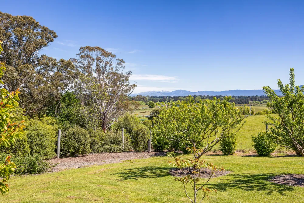 Photos of 284 Carrs Road