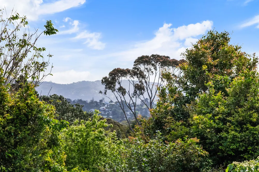 Photos of 263B Titirangi Road