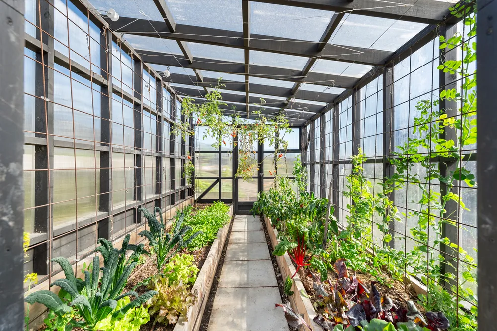 Photos of 26 Taha Puke Road