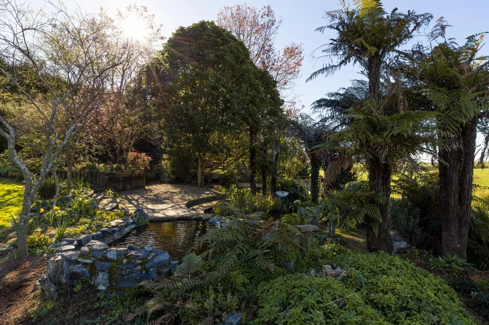 Photos of 168 Te Kawa Road