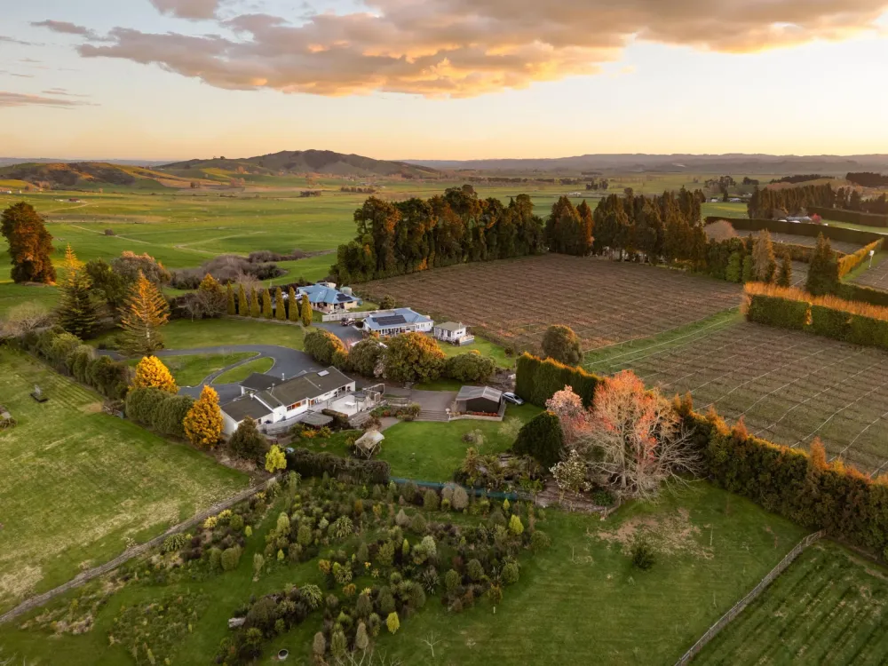 Photos of 168 Te Kawa Road