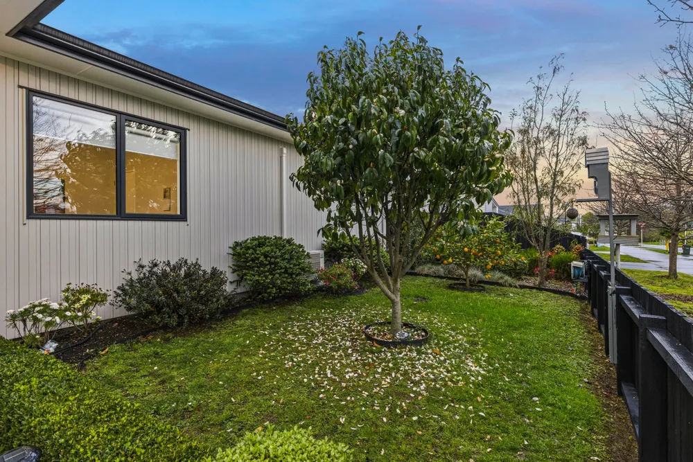 Photos of 22 Jutland Road