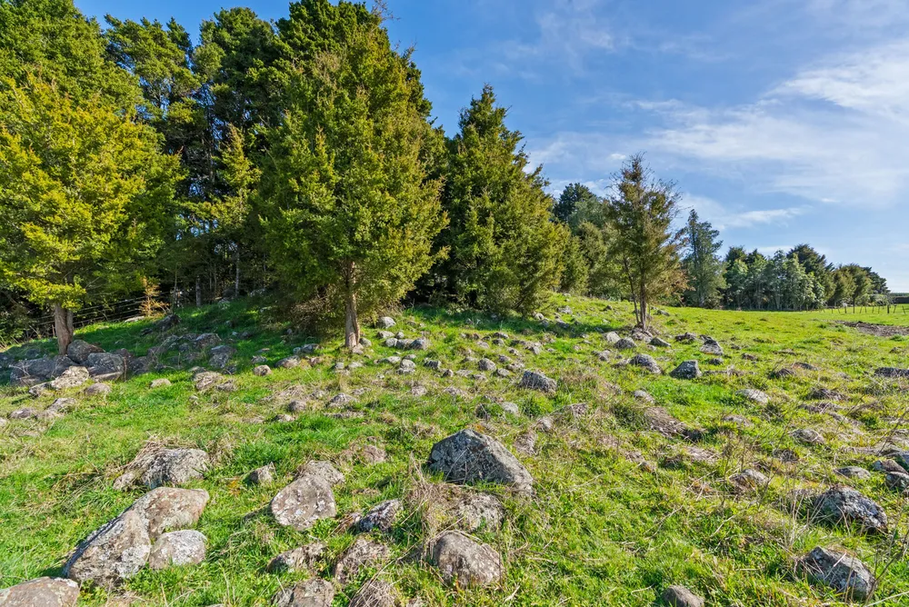 Photos of 46 Kahikatea Drive
