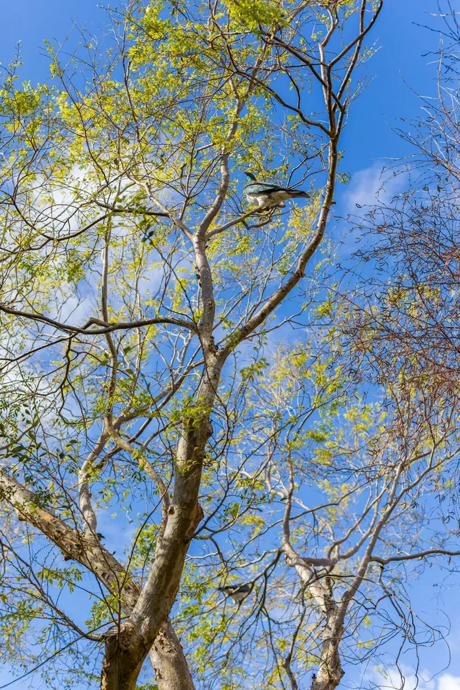 Photos of 6 Samwell Drive