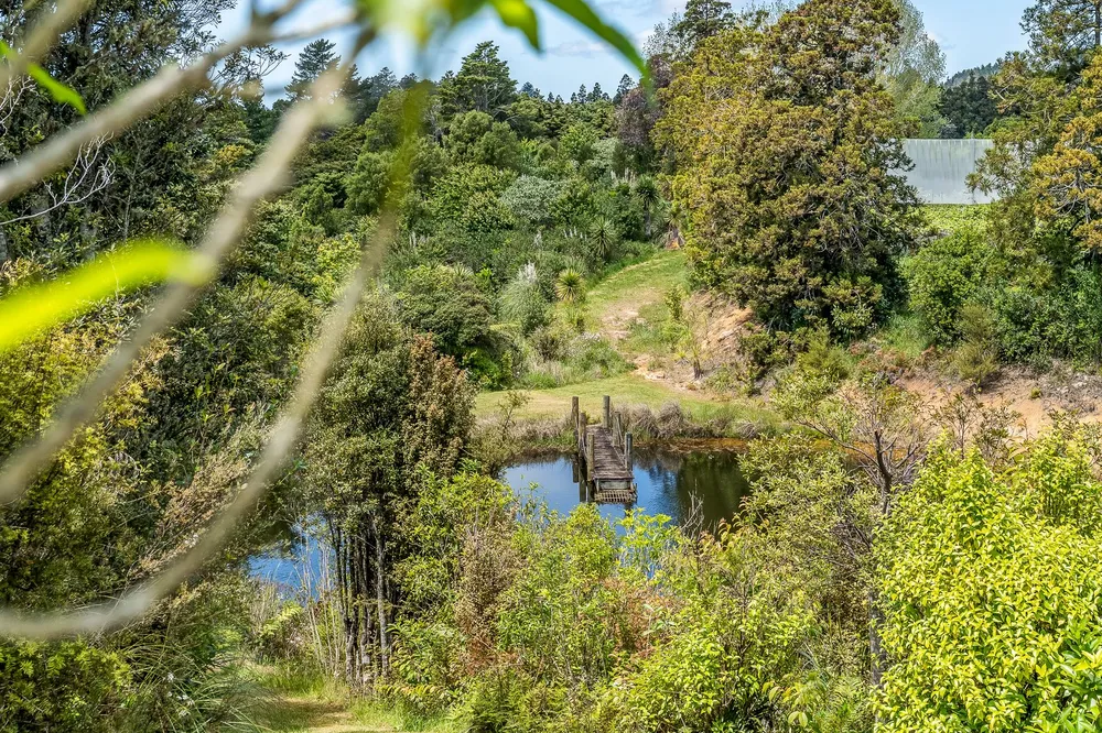 Photos of 92 Maruata Road