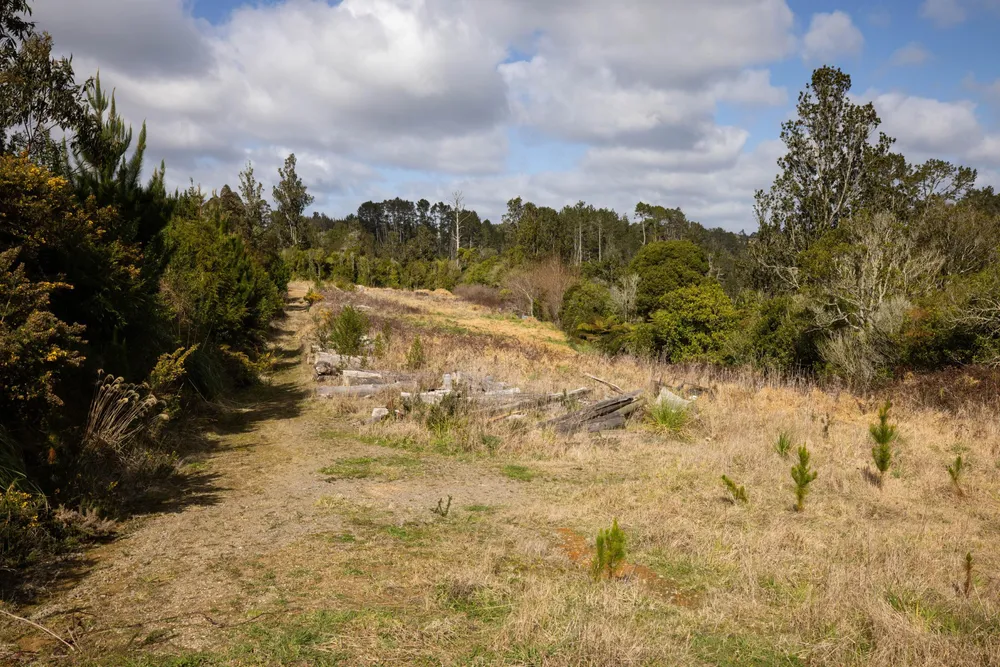 Photos of 736 No 2 Road