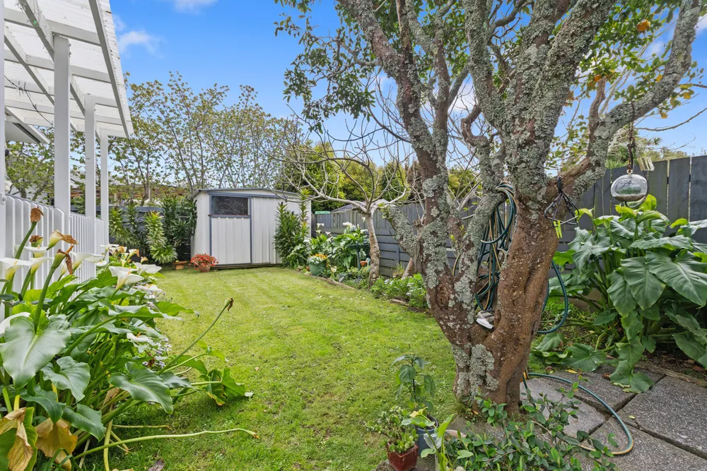 Photos of 46 Angelo Avenue