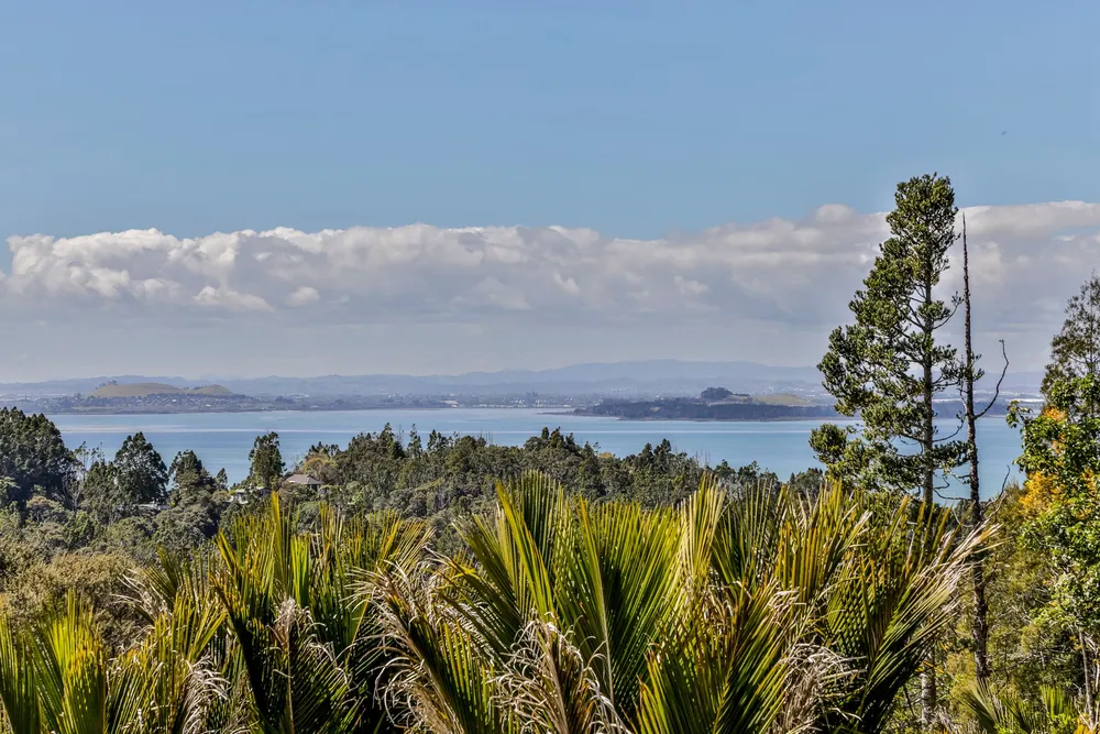 Photos of 632 South Titirangi Road