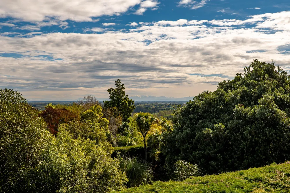 Photos of 259 Kennedys Bush Road