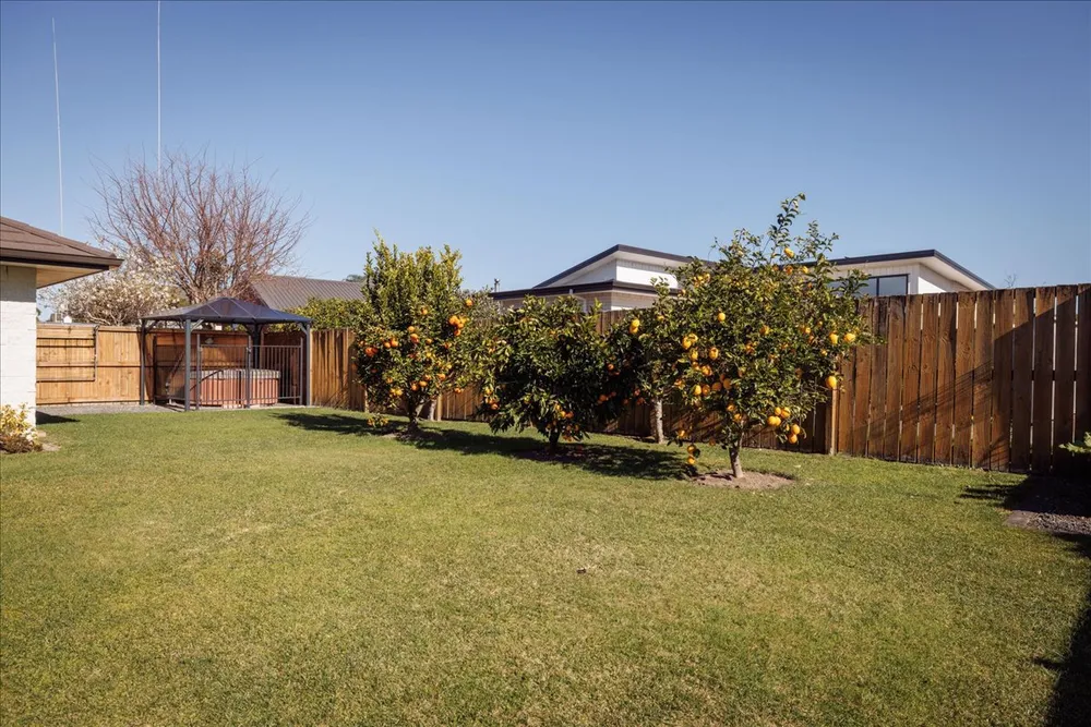Photos of 11 Allington Place