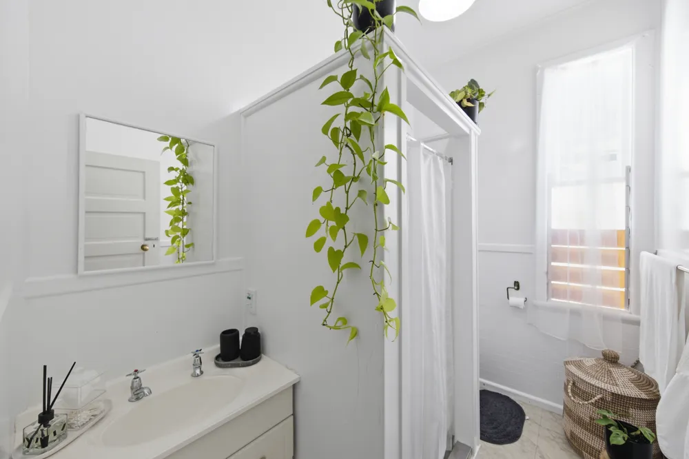 Photos of 675 Mount Eden Road