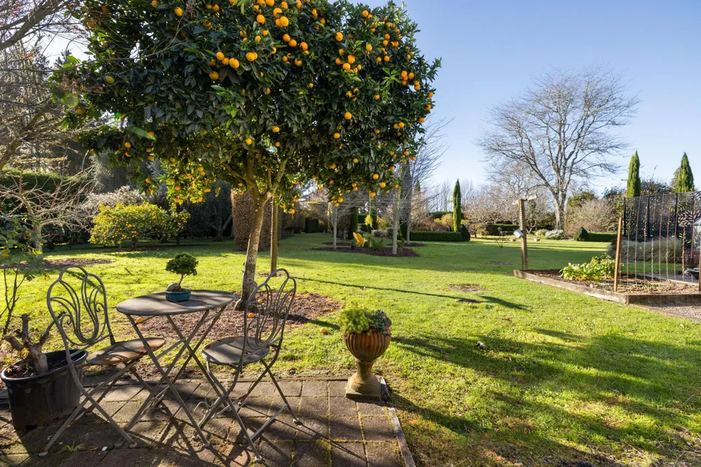 Photos of 20 Vintners Lane