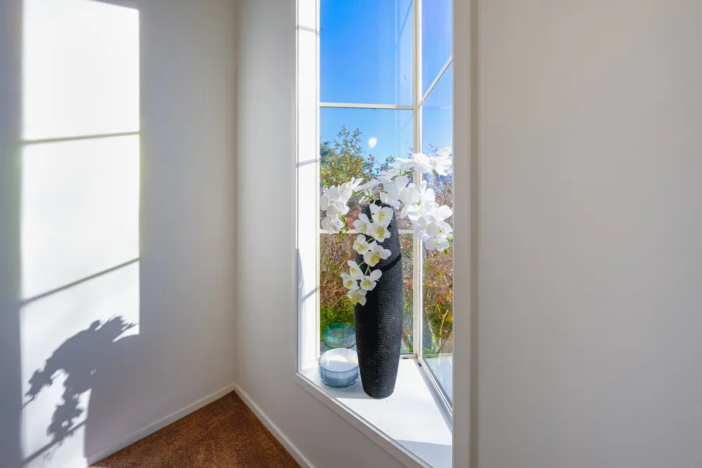 Photos of 22 Clemow's Lane