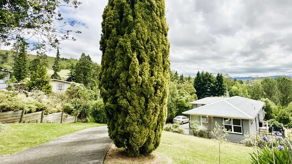Photos of 26 Swan Street