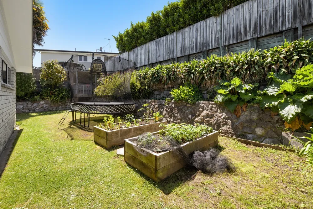 Photos of 16 Shelley Street
