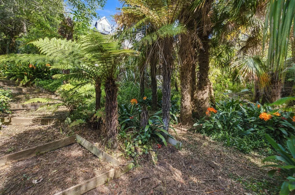 Photos of 137 Sumnervale Drive