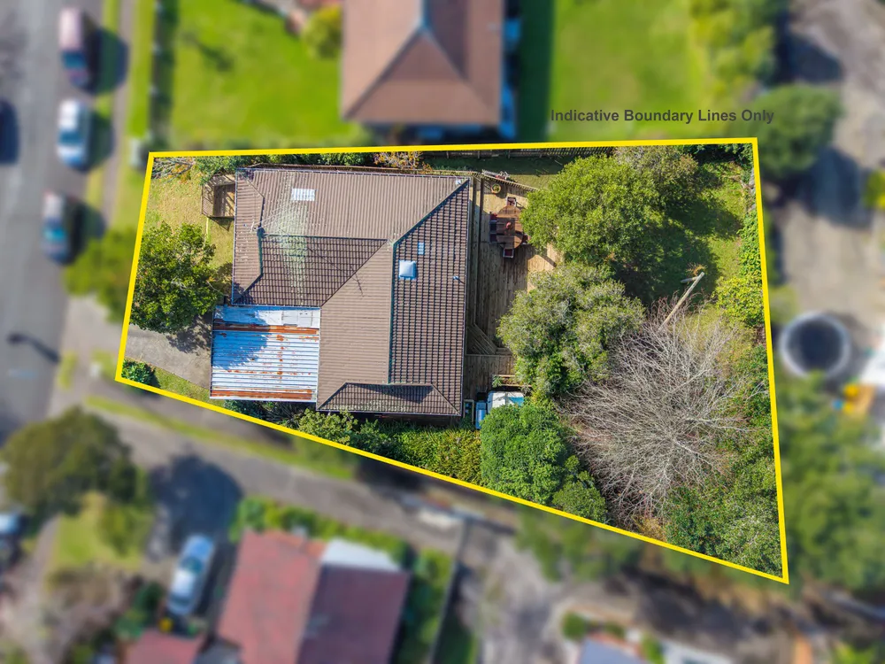 Photos of 31 Palliser Lane
