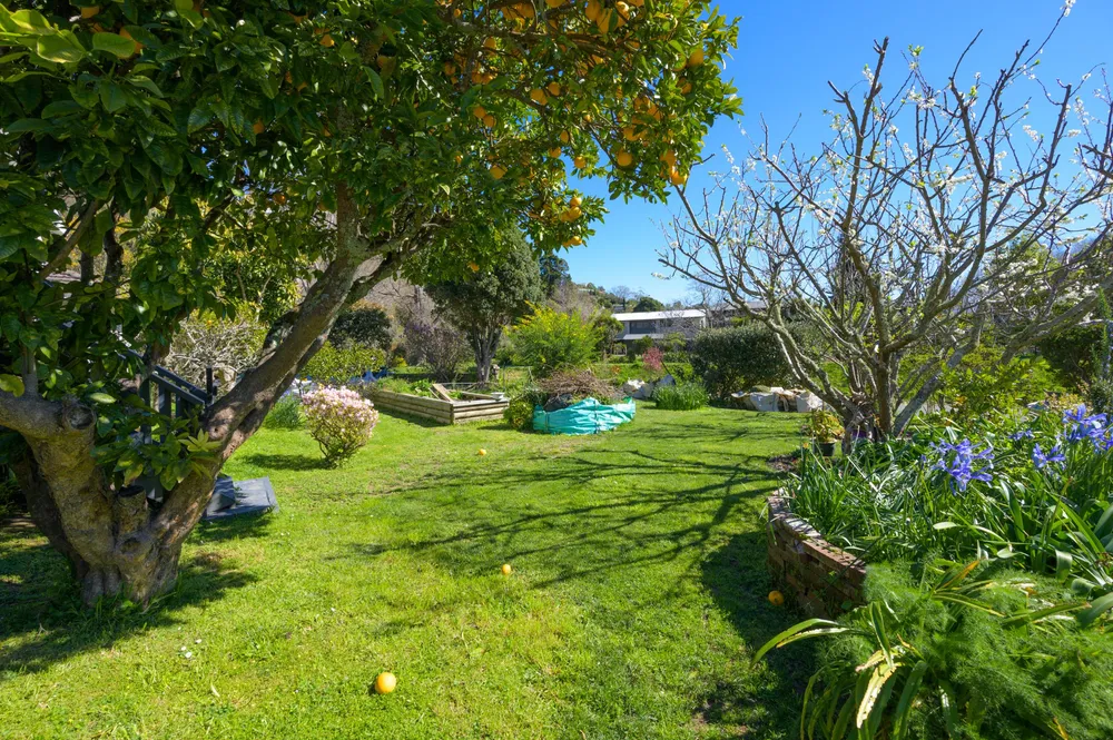 Photos of 3 Clouston Terrace