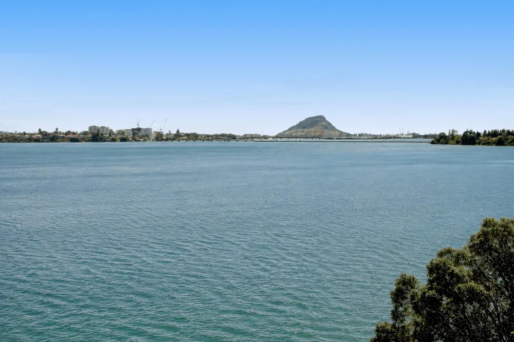 Photos of 330 Maungatapu Road