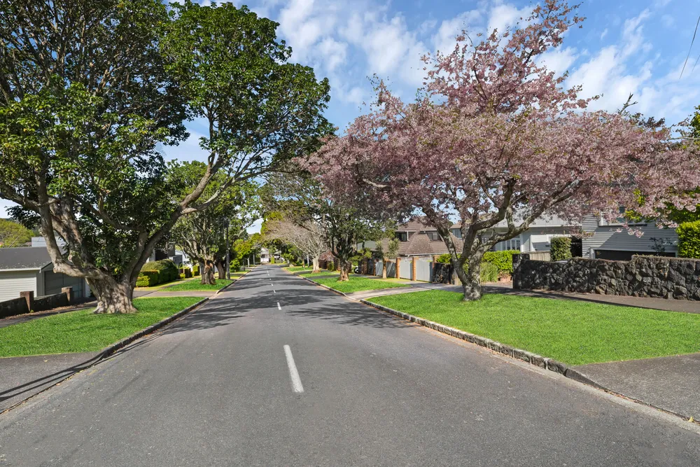 Photos of 6C Gorrie Avenue