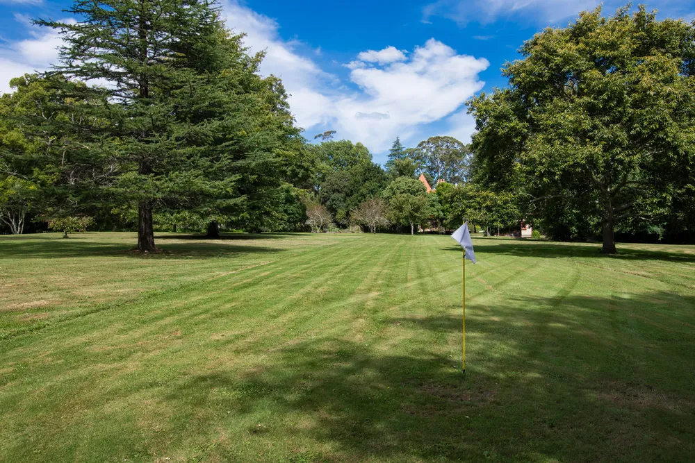 Photos of 577 Back Ormond Road