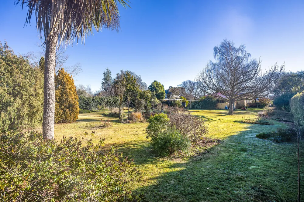 Photos of 113 Kippenberger Avenue